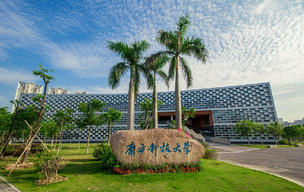 高校